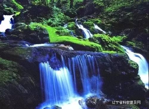 三国快打电脑版4